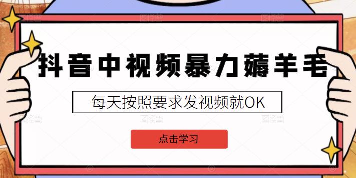 2022抖音中视频暴力薅羊毛白嫖项目：新号每天20块，老号几天几百块，可多号￼-百货大全