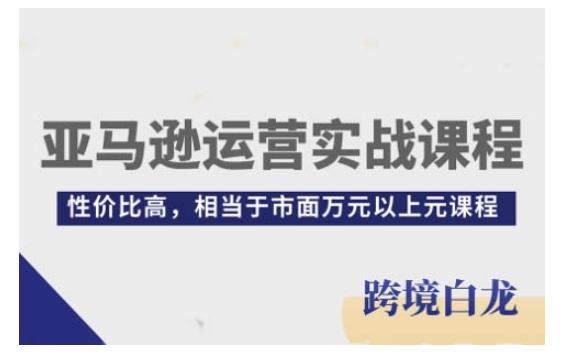 亚马逊运营实战课程，亚马逊从入门到精通，性价比高，相当于市面万元以上元课程-百货大全