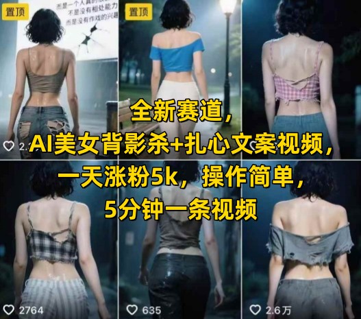 全新赛道，AI美女背影杀+扎心文案视频，一天涨粉5k，操作简单，5分钟一条视频-百货大全