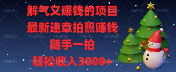 解气又挣钱的项目，最新违章拍照挣钱，随手一拍，轻松收入数张【揭秘】-百货大全
