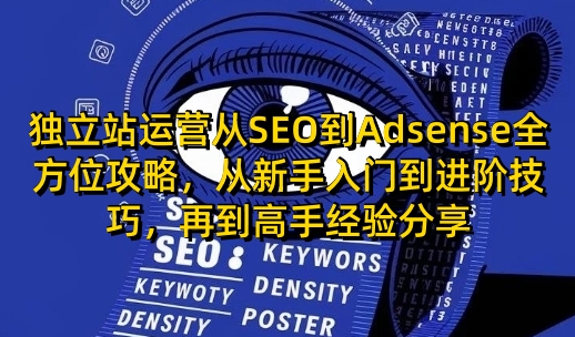 独立站运营从SEO到Adsense全方位攻略，从新手入门到进阶技巧，再到高手经验分享-百货大全