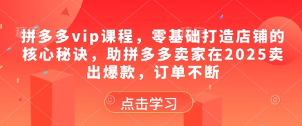 拼多多vip课程，零基础打造店铺的核心秘诀，助拼多多卖家在2025卖出爆款，订单不断-百货大全