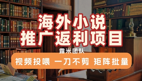 海外小说推广返利项目，视频投喂， 一刀不剪，矩阵批量-百货大全
