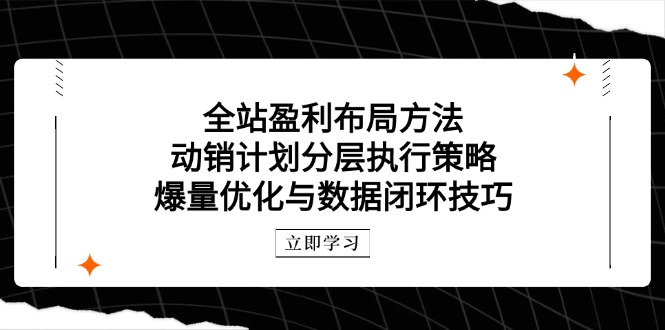 全站盈利布局方法：动销计划分层执行策略，爆量优化与数据闭环技巧-百货大全