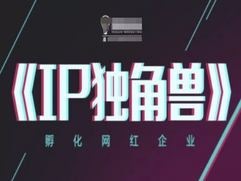 IP独角兽，孵化网红企业，ip教程-百货大全