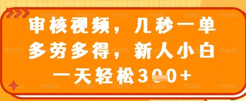 审核视频，几秒一单，多劳多得，新人小白一天轻松3张【揭秘】-百货大全