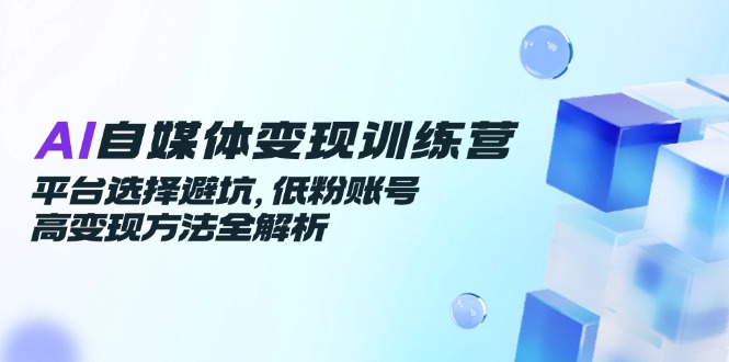 AI自媒体变现训练营，平台选择避坑，低粉账号高变现方法全解析-百货大全