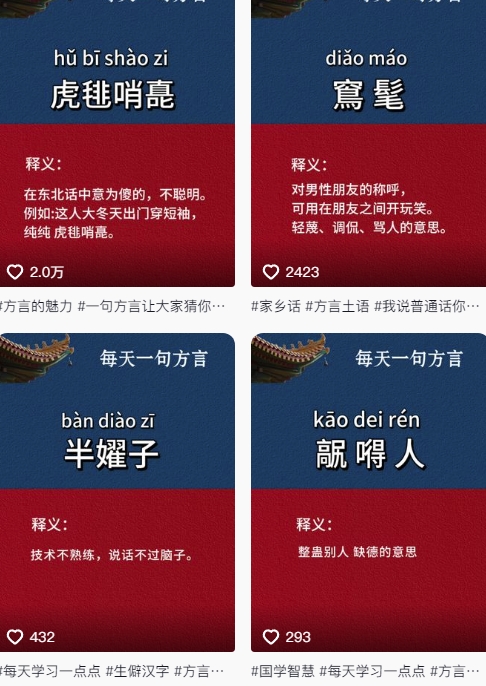 抖音最新涨粉玩法，图文方言暴力涨粉实操，126作品涨粉11W-百货大全