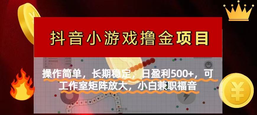 【抖音小游戏发行人计划项目】操作简单，长期稳定，日盈利500+，可工作…-百货大全