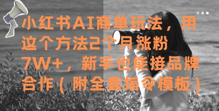 小红书AI商单玩法，用这个方法2个月涨粉7W+，新手也能接品牌合作(附全套指令模板)-百货大全