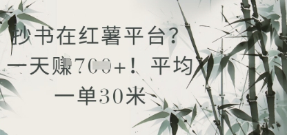 抄书在小红薯平台？平均一单30米，一天收益几张！-百货大全