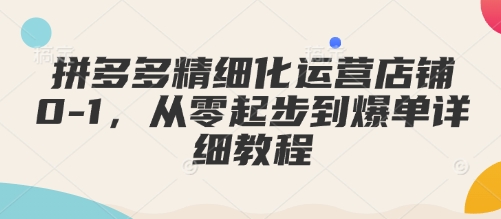 拼多多精细化运营店铺0-1，从零起步到爆单详细教程-百货大全