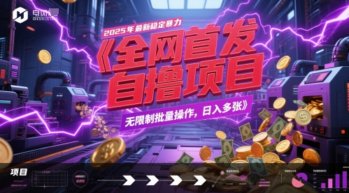 全网首发，2025年最新稳定暴力全自动自撸项目，无限制批量操作，日入多张【揭秘】-百货大全
