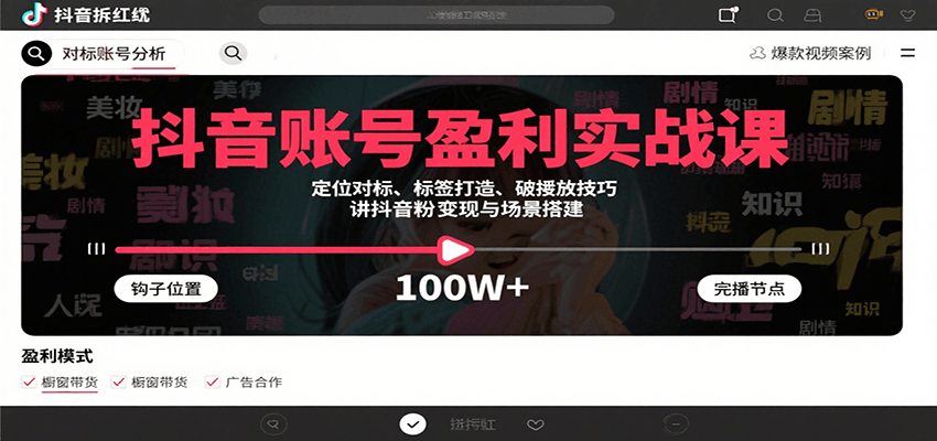 抖音账号盈利实战课，定位对标、标签打造、破播放技巧，讲涨粉变现与场景搭建-百货大全