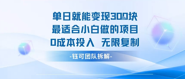 单日就能变现3张最适合小白做的项目0成本投入 无限复制-百货大全