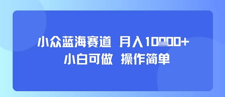 小众蓝海赛道，小白可做，操作简单，每天30分钟，月入1W+-百货大全