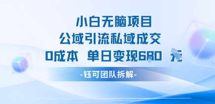 小白无脑项目公域引流私域成交0成本单日变现680米-百货大全