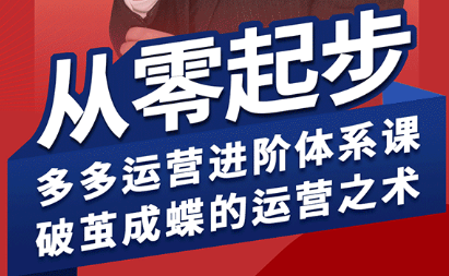 海神·拼多多运营进阶系统课(更新8月)-百货大全