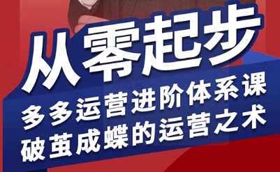 拼多多运营进阶系统课，从零起步，多多运营进阶体系课，破茧成蝶的运营之术-百货大全
