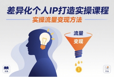 差异化个人IP打造实操课程，实操流量变现方法-百货大全