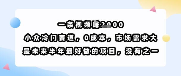 一条视频挣1k，小众冷门赛道，0成本，市场需求大，是未来半年最好做的项目，没有之一-百货大全