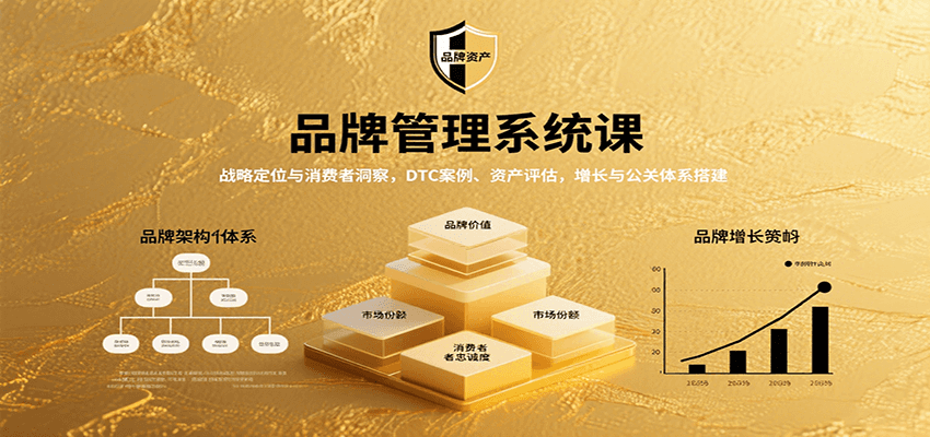 品牌管理系统课：战略定位与消费者洞察，DTC案例、资产评估，增长与公关体系搭建-百货大全