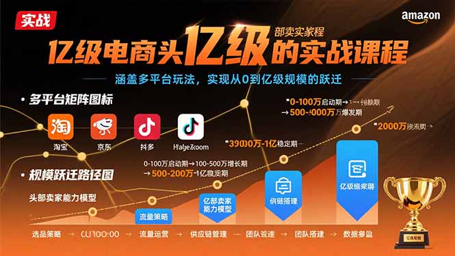 亿级电商头部卖家的实战课程：涵盖多平台玩法，实现从0到亿级规模的跃迁-百货大全