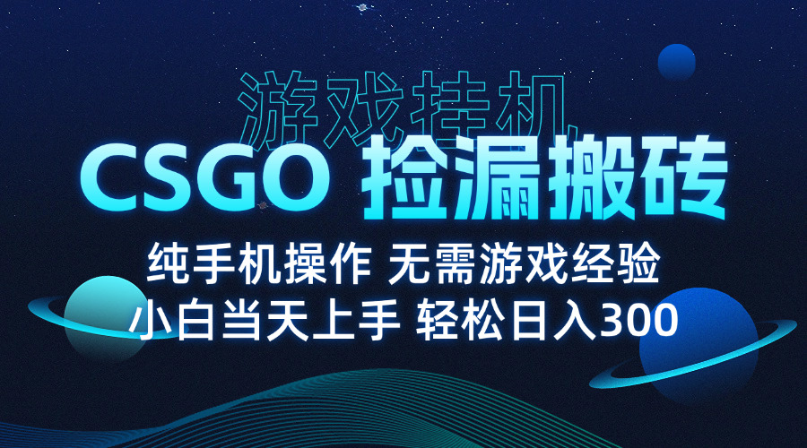 8月最新游戏搬砖，CSGO纯挂机，不需要玩游戏，实现真挂机，月入1W+-百货大全