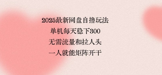 2025最新网盘自撸玩法，单机每天稳下3张，无需流量和拉人头，一个人就可轻松矩阵，全网独一份【揭秘】-百货大全