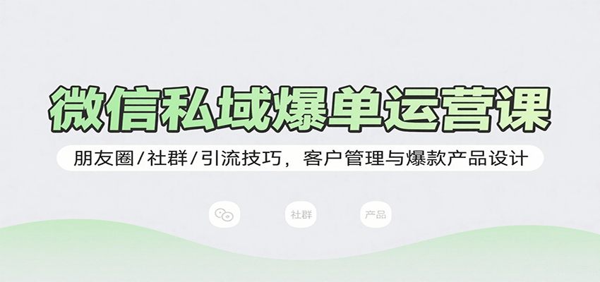 微信私域爆单运营课：朋友圈/社群/引流技巧，客户管理与爆款产品设计-百货大全