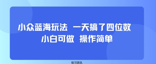 小众蓝海玩法 一天搞了四位数 小白可做 操作简单-百货大全