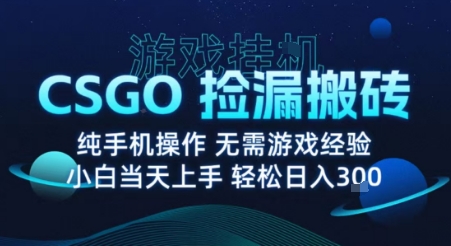 8月最新游戏搬砖，CSGO纯挂G，不需要玩游戏，实现真挂G，月入1W+【揭秘】-百货大全