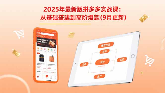 2025年最新版拼多多实战课：从基础搭建到高阶爆款(9月更新-百货大全