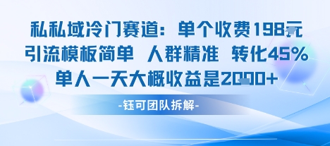私域冷门赛道单个收费198米引流模板简单人群精准 45%的转化率单人一天大概收益多张-百货大全