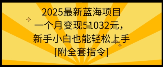 2025最新蓝海项目一个月变现1w+新手小白也能轻松上手【附全套指令】-百货大全