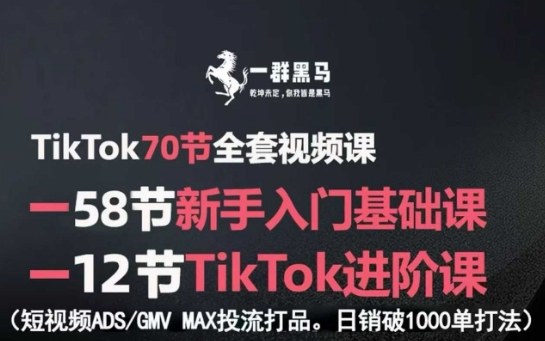 TikTok全套视频课，新手入门+进阶课，短视频ADS-GMV MAX投流打品，日销破1000单打法-百货大全