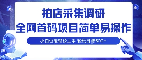 拍店采集调研，全网首码项目，简单易操作， 小白也能轻松上手，多账号操作，轻松日入5张【揭秘】-百货大全