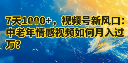 7天收益1k+，视频号新风口：中老年情感视频如何月入过W?-百货大全