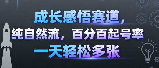 成长感悟赛道，纯自然流，百分百起号率 一天轻松多张-百货大全