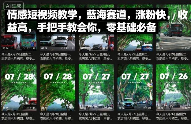 情感短视频教学，蓝海赛道，涨粉快，收益高，手把手教会你，零基础必备-百货大全