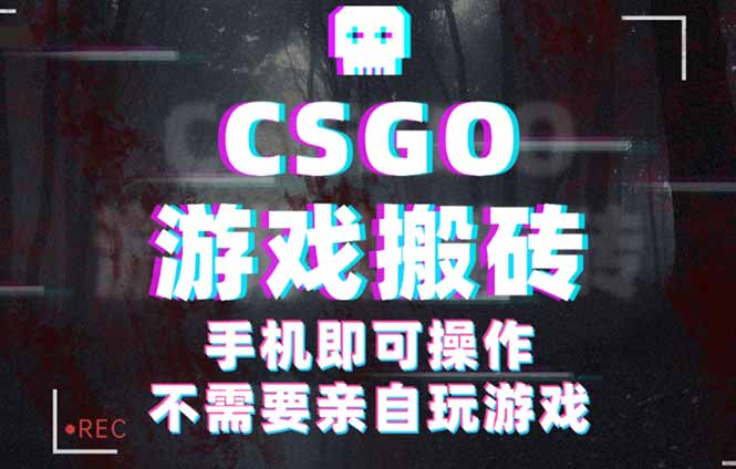 CSGO游戏挂机捡漏，单日扫货500+，年底小高峰上车可吃肉，手机即可操作…-百货大全
