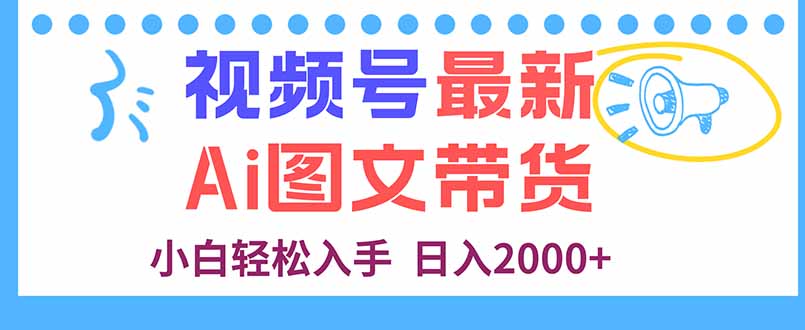 视频号最新AI图文带货，每天几分钟，小白轻松入手，日入2000+-百货大全