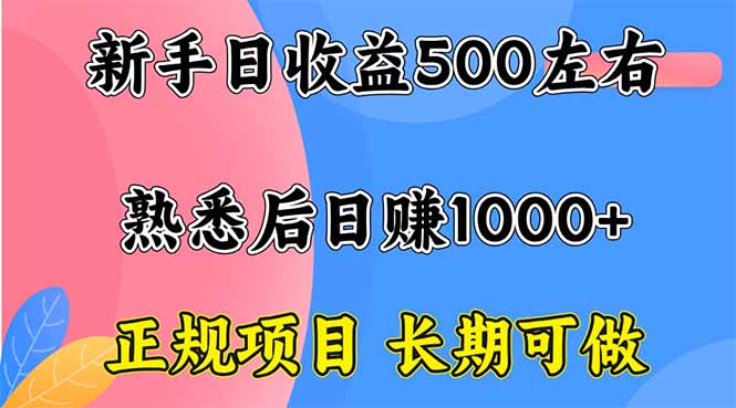 新手日收益500+ 正规项目 长期可做-百货大全