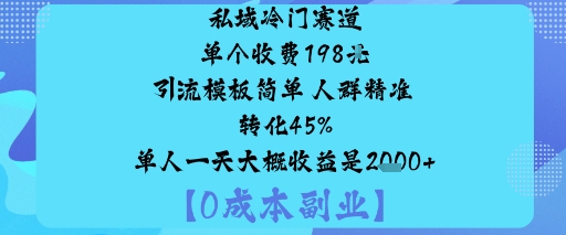 私域冷门赛道:单个收费198米引流模板简单人群精准转化45%单人一天大概收益是1k+-百货大全