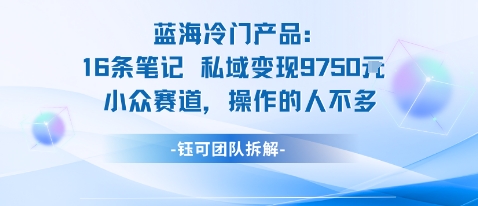 蓝海项目：16条笔记私域变现9750米小众赛道操作的人不多-百货大全