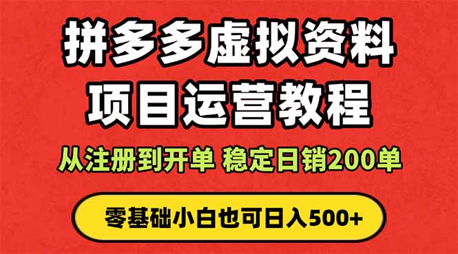 拼多多开店运营课程： 蓝海变现玩法，轻松实现睡后收入 零基础小白也可…-百货大全