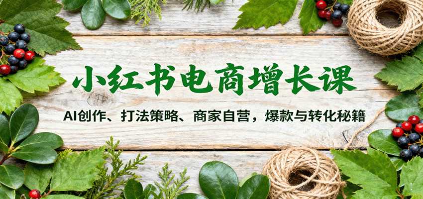 小红书电商增长课：AI创作、打法策略、商家自营，爆款与转化秘籍-百货大全