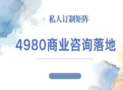 4980商业咨询师落地课程-ip运营高客单教程-百货大全