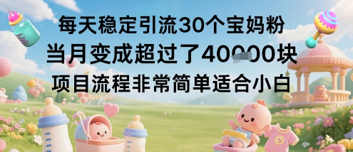 每天稳定引流30个宝妈粉当月变成超过了1W+项目流程非常简单适合小白-百货大全