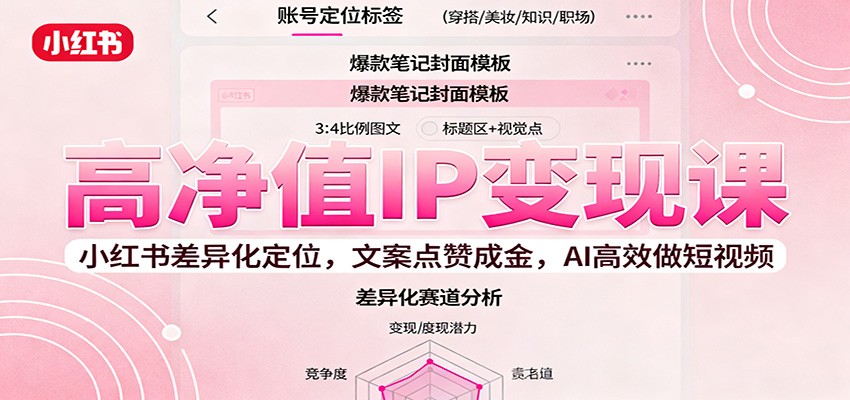 高净值IP变现课：小红书差异化定位，文案点赞成金， AI高效做短视频-百货大全